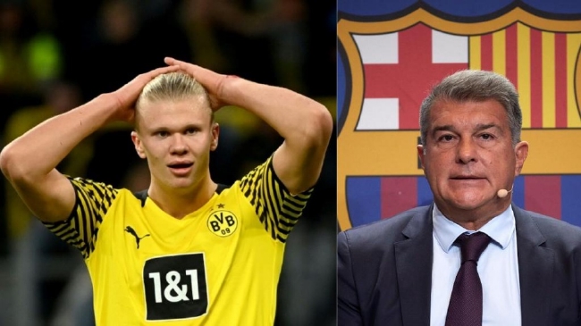 托利索：会努力争取世界杯席位；若无缘，我女儿们会更开心